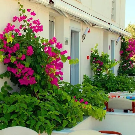 Vela Garden