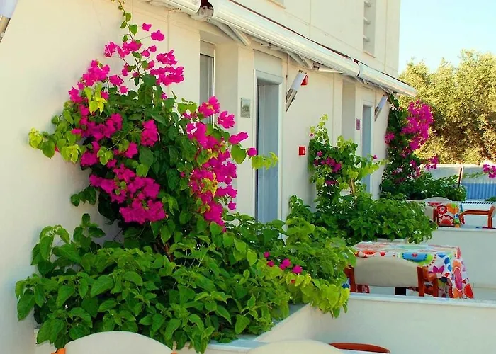 Vela Garden